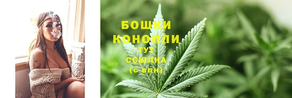 стаф Бугульма
