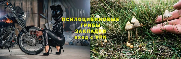 стаф Бугульма