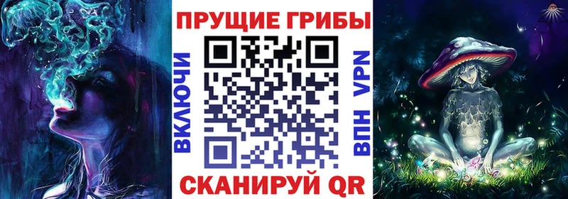 мега как войти  Армавир  Псилоцибиновые грибы Psilocybine cubensis 